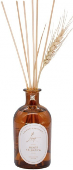 Parfum de camera -  Menta Salbatica