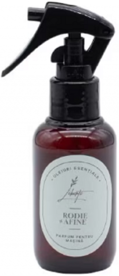 Odorizant auto cu pulverizator - Rodie si Afine