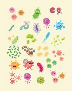 O introducere a copiilor in lumea Microbiotei Umane
