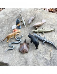 Set 11 figurine - Everglades Florida 