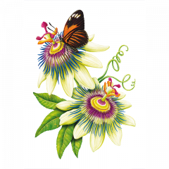 Intelepciunea florilor