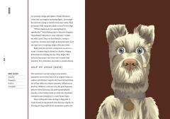 A Wes Anderson Dictionary