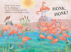 Little Robin's Book of Birds