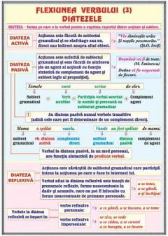 Verbul, flexiunea, diatezele / Mijloace interne de imbogatire a vocabularului - plansa cu sipci