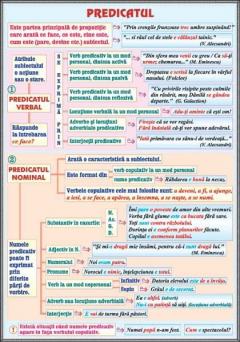 Plansa - Articolul / Predicatul