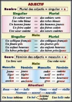 Plansa - Noms de nombre: Les nombre cardinaux, le nombres ordinaux, le fractions / Adjectiv nombre G