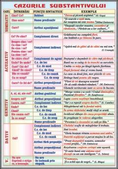 Plansa - Substantivul / Cazurile substantivului