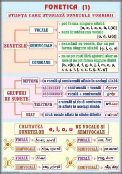 Plansa - Fonetica (1) / Complementele necircumstantiale (1)
