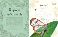 An Anthology of Butterflies and Moths