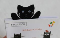 Semn de carte - Pisica castravete negru