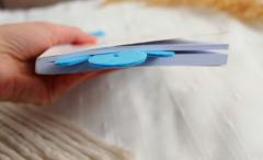 Semn de carte - Pisica castravete albastru