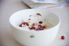 Set 5 vase pentru copii - Fiona Flami