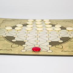 Joc de strategie - Vulpea si Gastele