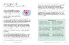 The Pocket Crystal Healer