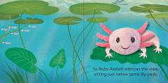 Baby Axolotl