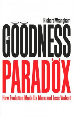 The Goodness Paradox