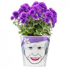 Ghiveci mare - Regina Angliei