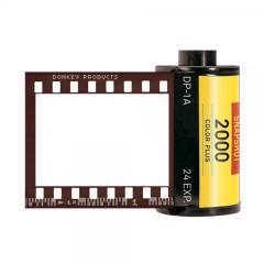 Magnet pentru frigider - Film Star Donkey