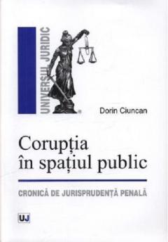 Coruptia in spatiul public