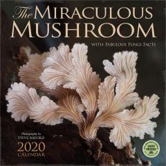 Calendar de perete 2020 - The miraculous mushroom