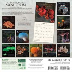 Calendar de perete 2020 - The miraculous mushroom