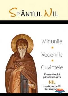 Minunile, vedeniile, cuvintele
