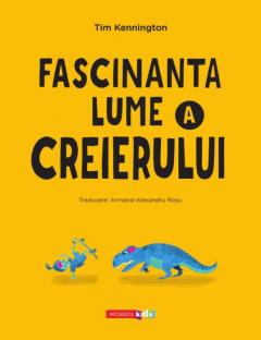 Fascinanta lume a creierului