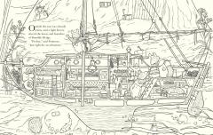 Brambly Hedge: Nature Colouring Book