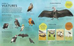 Nature's Clean-Up Crew