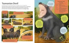 Nature's Clean-Up Crew