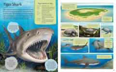 Nature's Clean-Up Crew