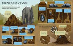 Nature's Clean-Up Crew