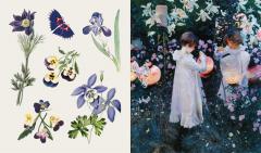 The Sticker Treasury of Butterflies and Blooms