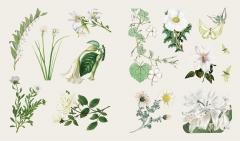 The Sticker Treasury of Butterflies and Blooms