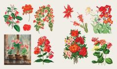 The Sticker Treasury of Butterflies and Blooms