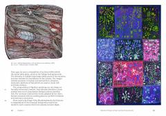 Aboriginal Art 