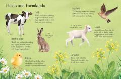 Things to Spot in Springtime