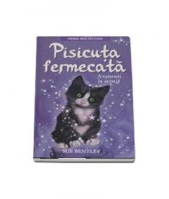 Pisicuta fermecata Sue Bentley