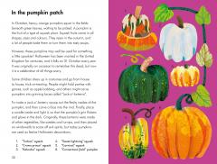 What To Look For In Autumn