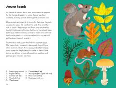 What To Look For In Autumn