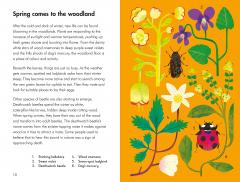 What To Look For In Spring