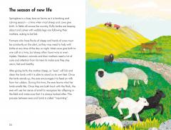 What To Look For In Spring