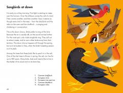 What To Look For In Spring