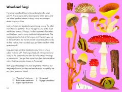 What To Look For In Winter