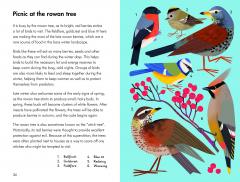 What To Look For In Winter