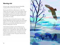 What To Look For In Winter