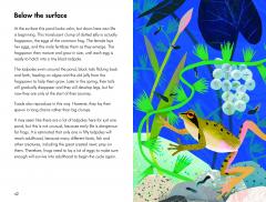 What To Look For In Winter