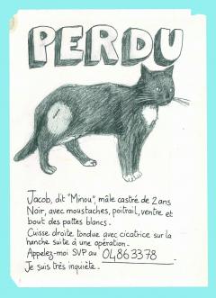 Please Look in the Basement