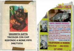 Please Look in the Basement