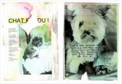 Please Look in the Basement